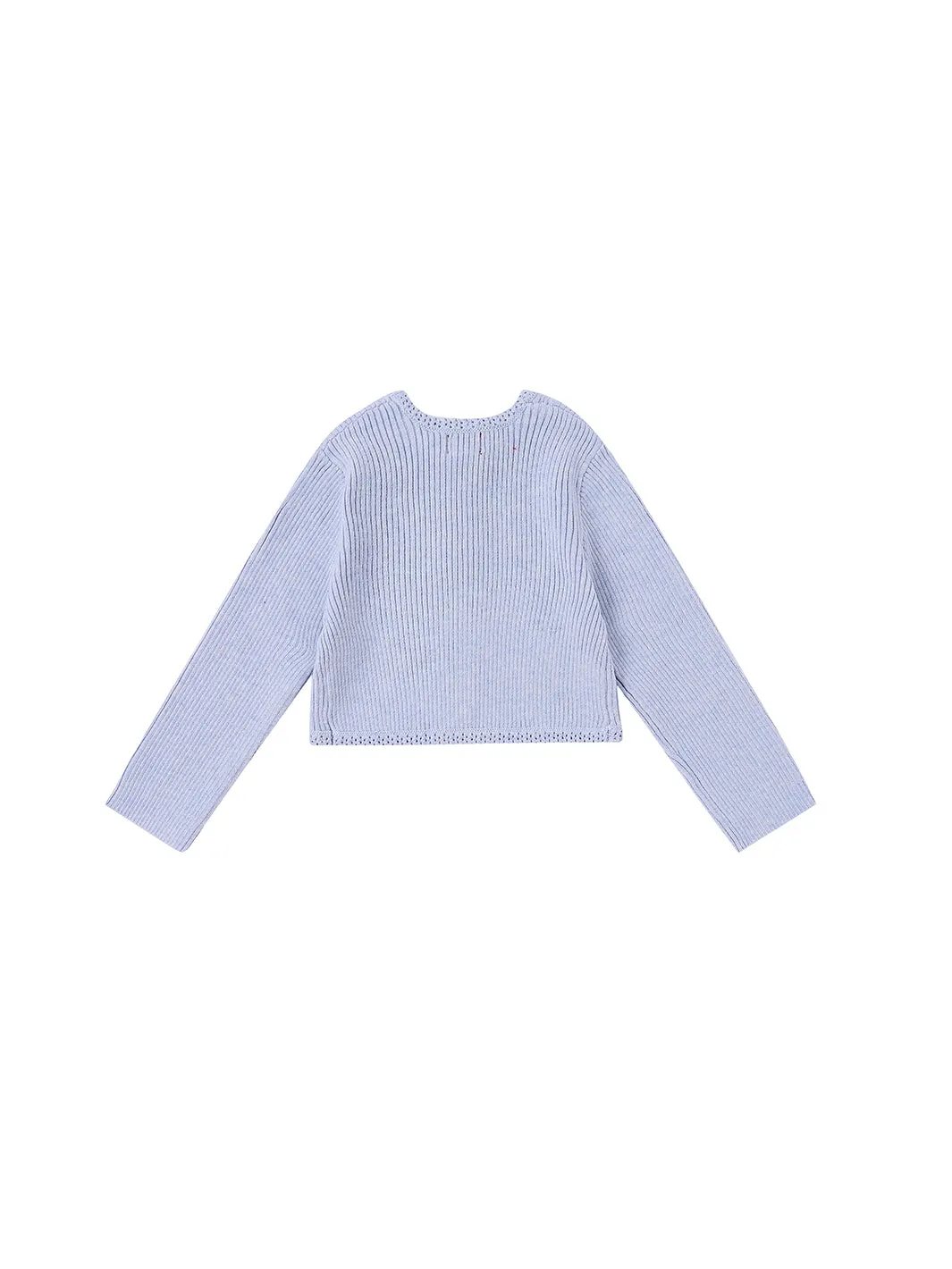 Baby Blazer Crop Length Sweater - Ice Blue