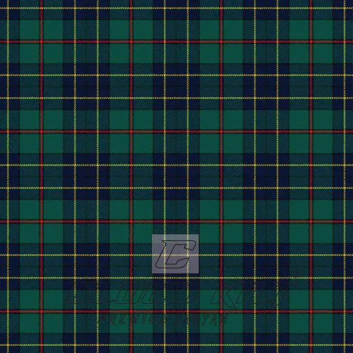 Fox Hunting Modern Tartan